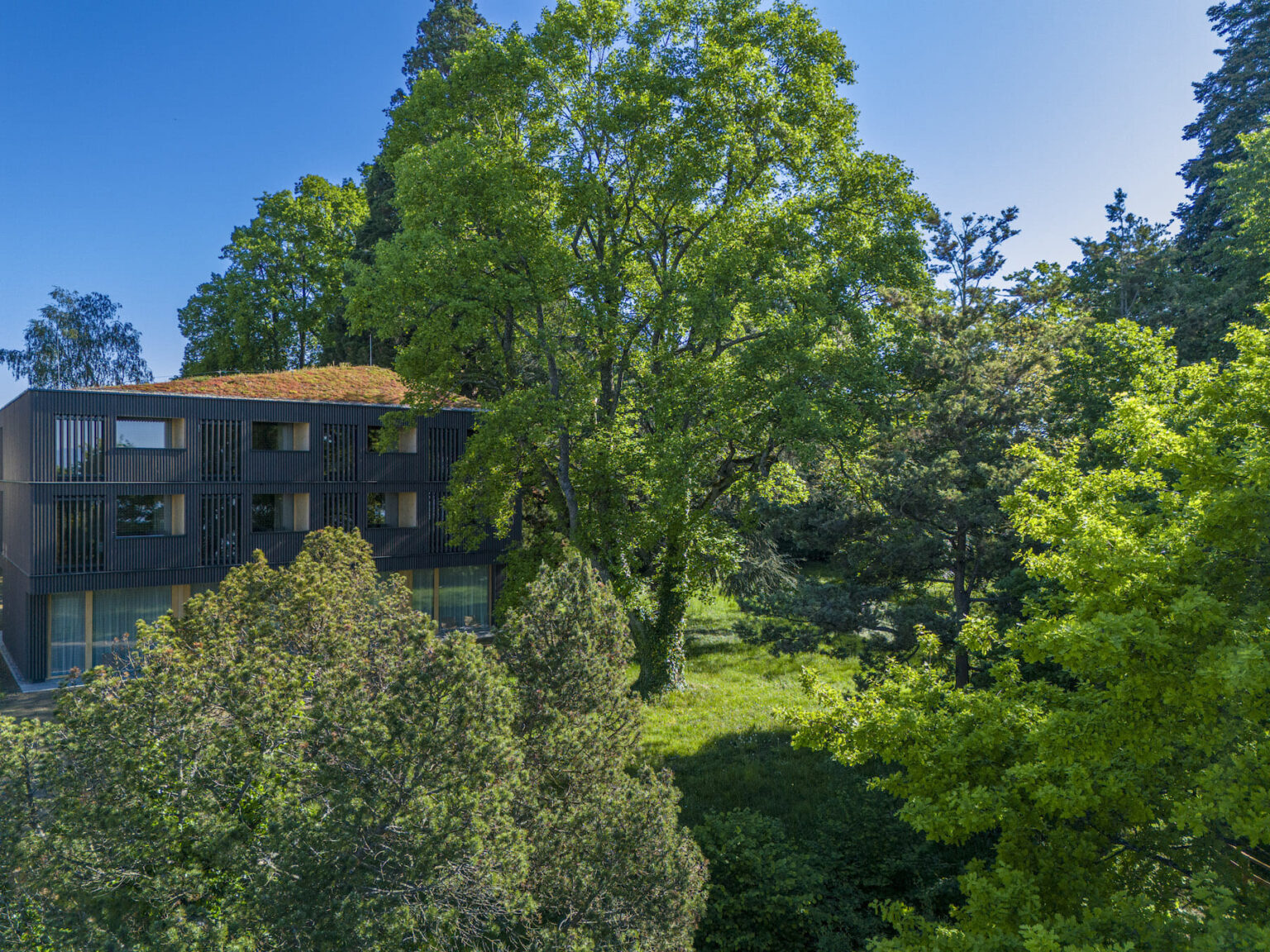 Select Green Hotels Seegut Zeppelin exterior nature