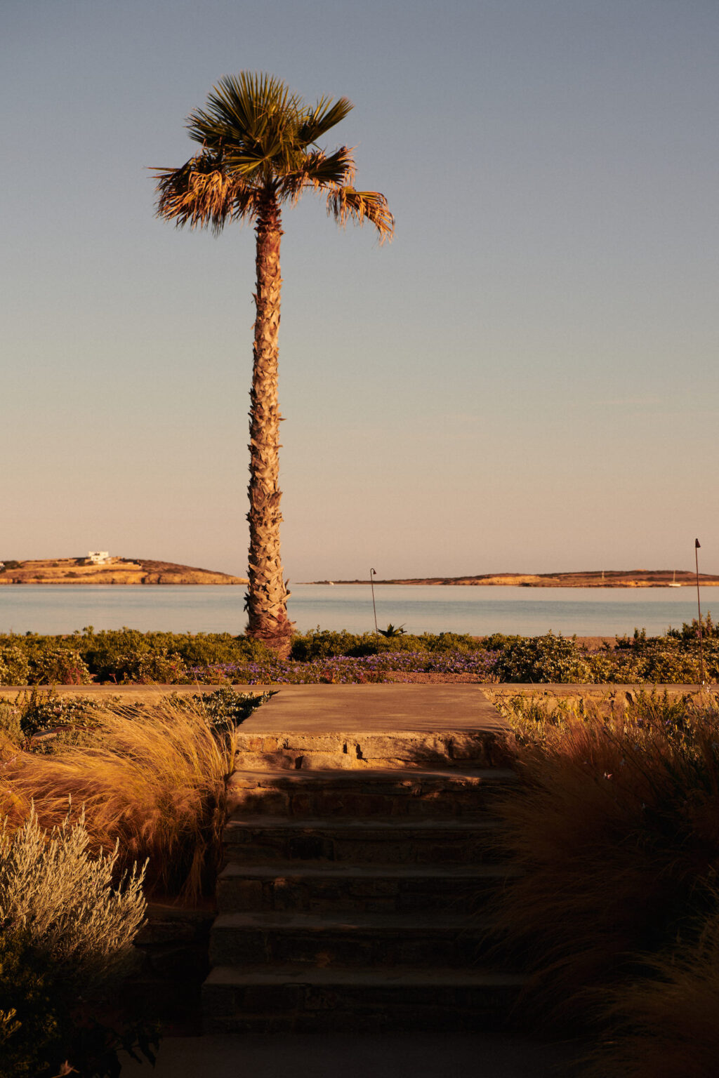 Select Green Hotels SeeSoo Paros Palme am Meer