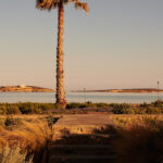 Select Green Hotels SeeSoo Paros Palme am Meer