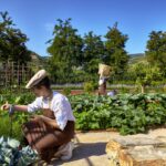 Select Green Hotels Six Senses Douro Valley organic garden