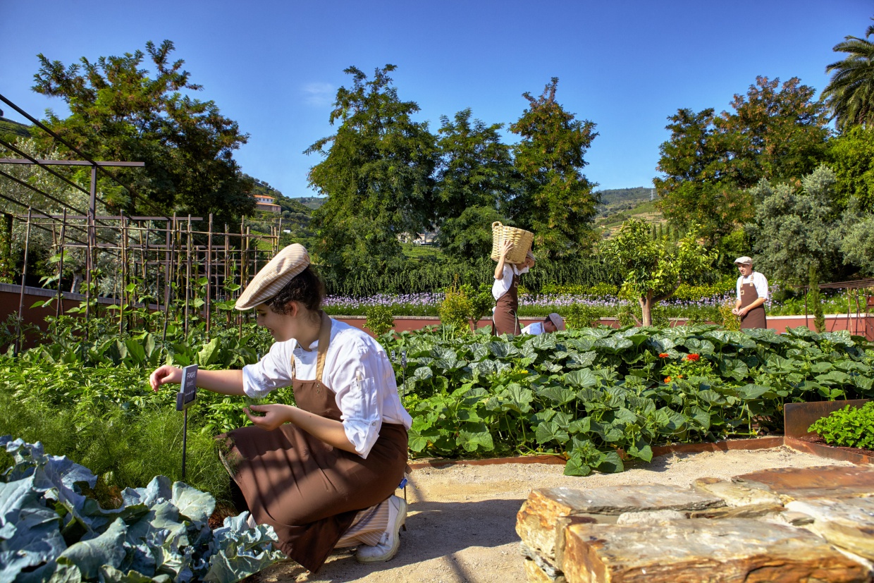 Select Green Hotels Six Senses Douro Valley organic garden