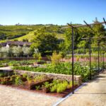Select Green Hotels Six Senses Douro Valley organic garden