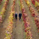 Select Green Hotels Six Senses Douro Valley vineyard