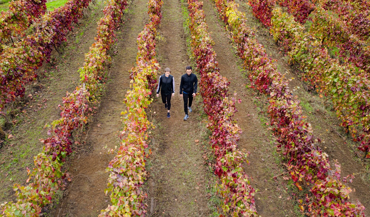 Select Green Hotels Six Senses Douro Valley vineyard