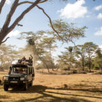Select Green Hotels Solio Lodge safari