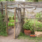 Select Green Hotels Solio Lodge vegetable garden