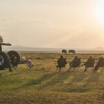 Select Green Hotels Solio Lodge outdoor wildlife