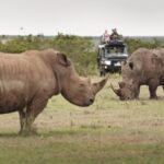 Select Green Hotels Solio Lodge wildlife