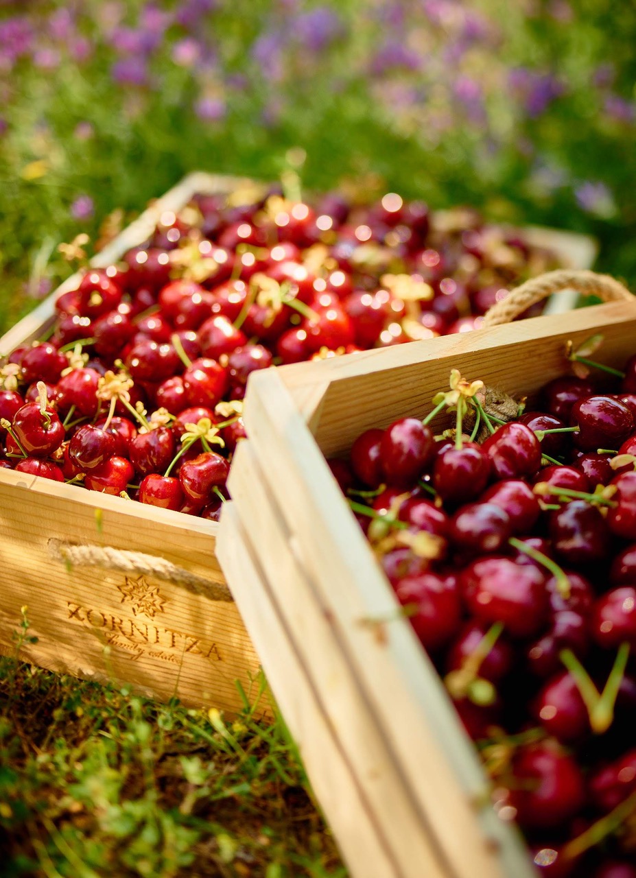 Select Green Hotels Zornitza Family Estate cherries