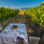 Select Green Hotels Zornitza Family Estate vineyards