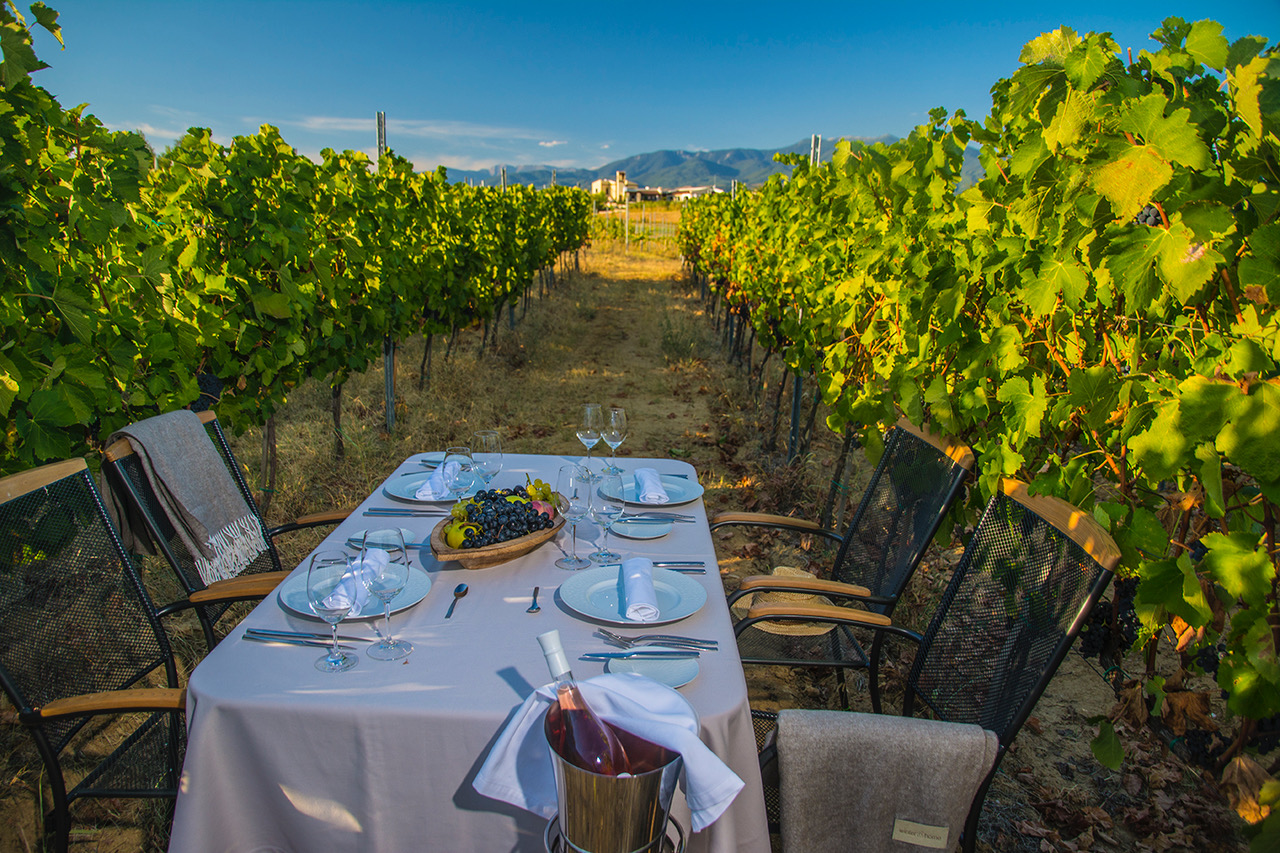 Select Green Hotels Zornitza Family Estate vineyards