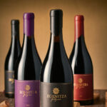 Select Green Hotels Zornitza Family Estate wine tasting