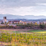 Select Green Hotels Zornitza Family Estate vineyards