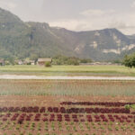 Select Green Hotels Hotel Post Bezau