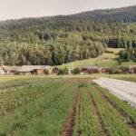 Select Green Hotels Hotel Post Bezau