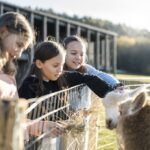 Select Green Hotels AKI Family Resort PLOSE Kinder streicheln Tiere