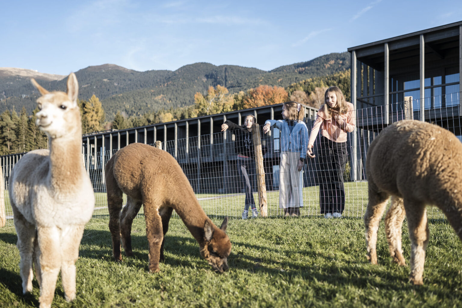 Select Green Hotels AKI family Resort PLOSE Alpakas
