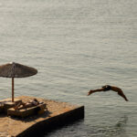 Minos Art Beach Hotel Select Green Hotels