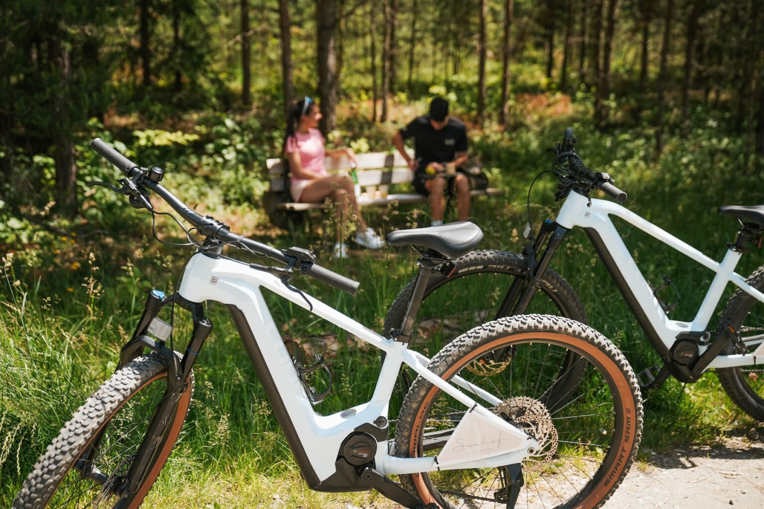 Select Green Hotels Seehof Nature Retreat bicycles