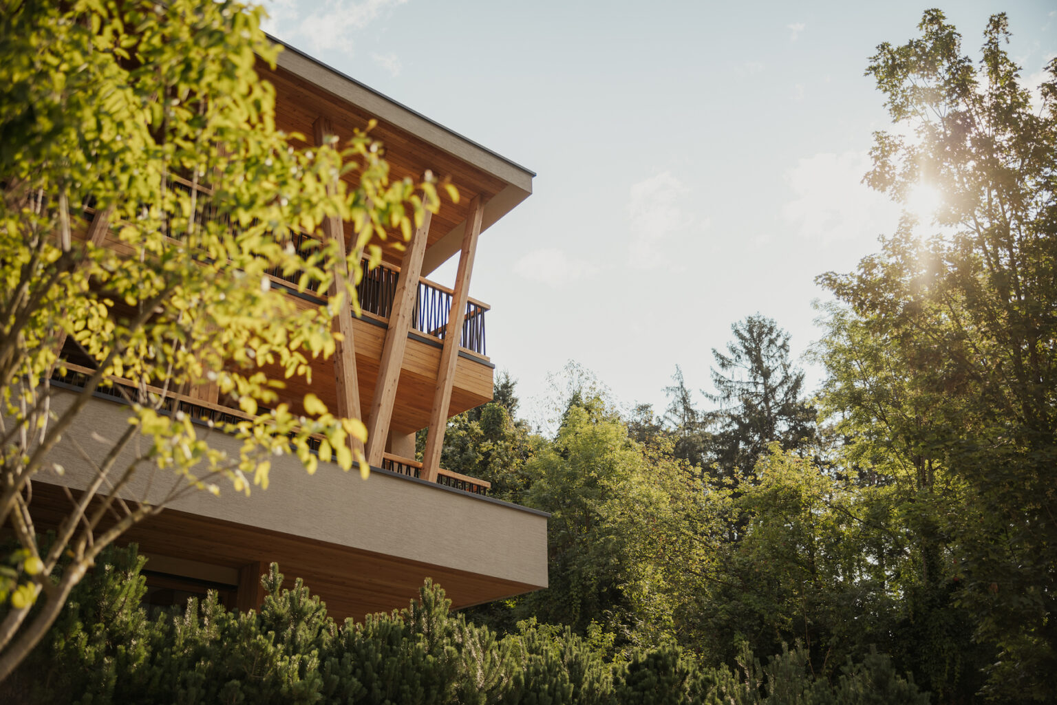 Select Green Hotels Taubers Bio Vitalhotel new suite