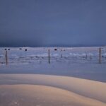 The Forgotten Farmhouse island