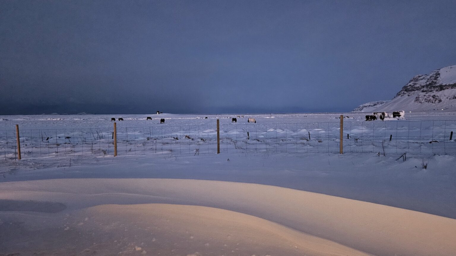 The Forgotten Farmhouse island