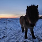 The Forgotten Farmhouse island