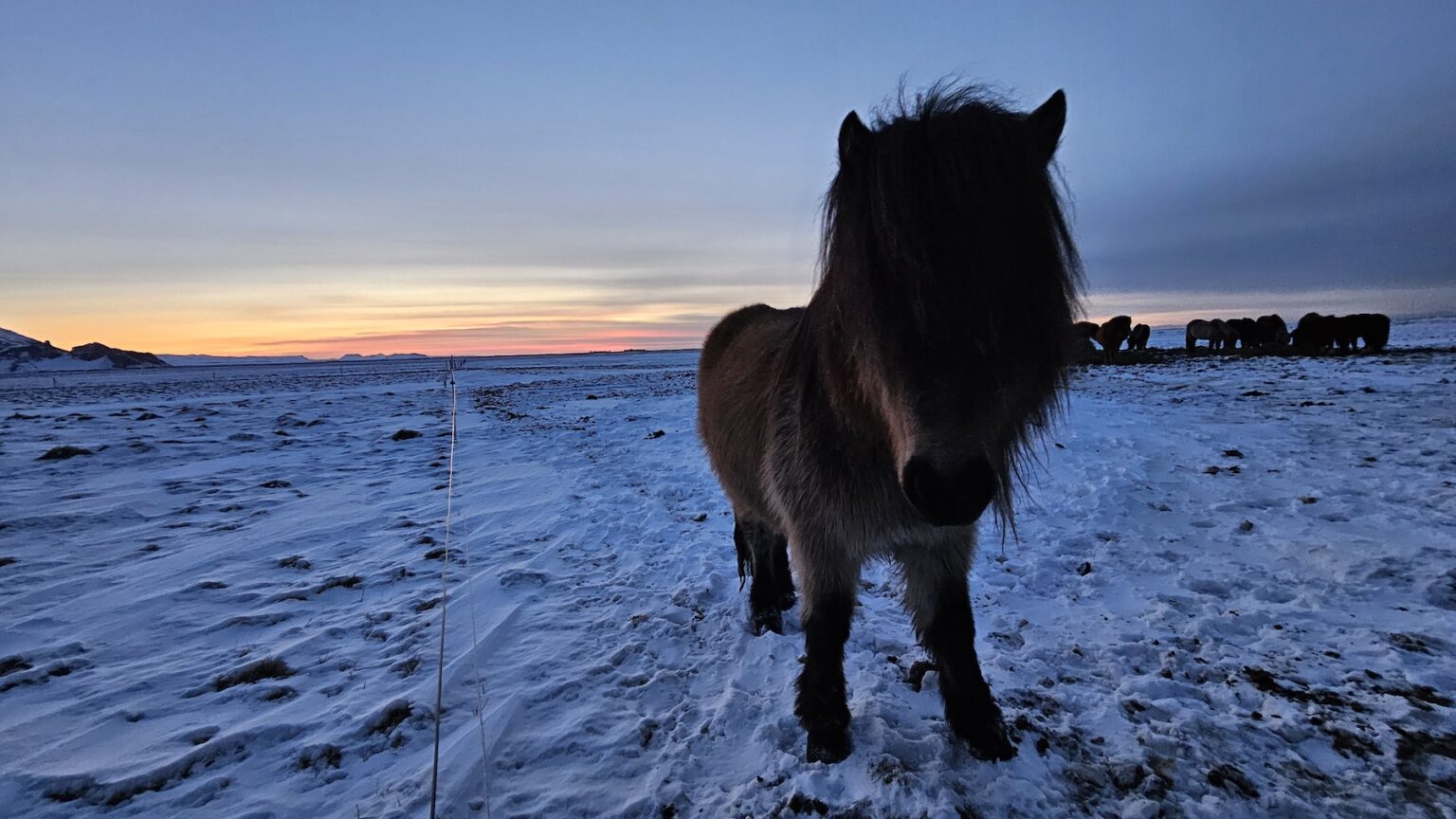 The Forgotten Farmhouse island