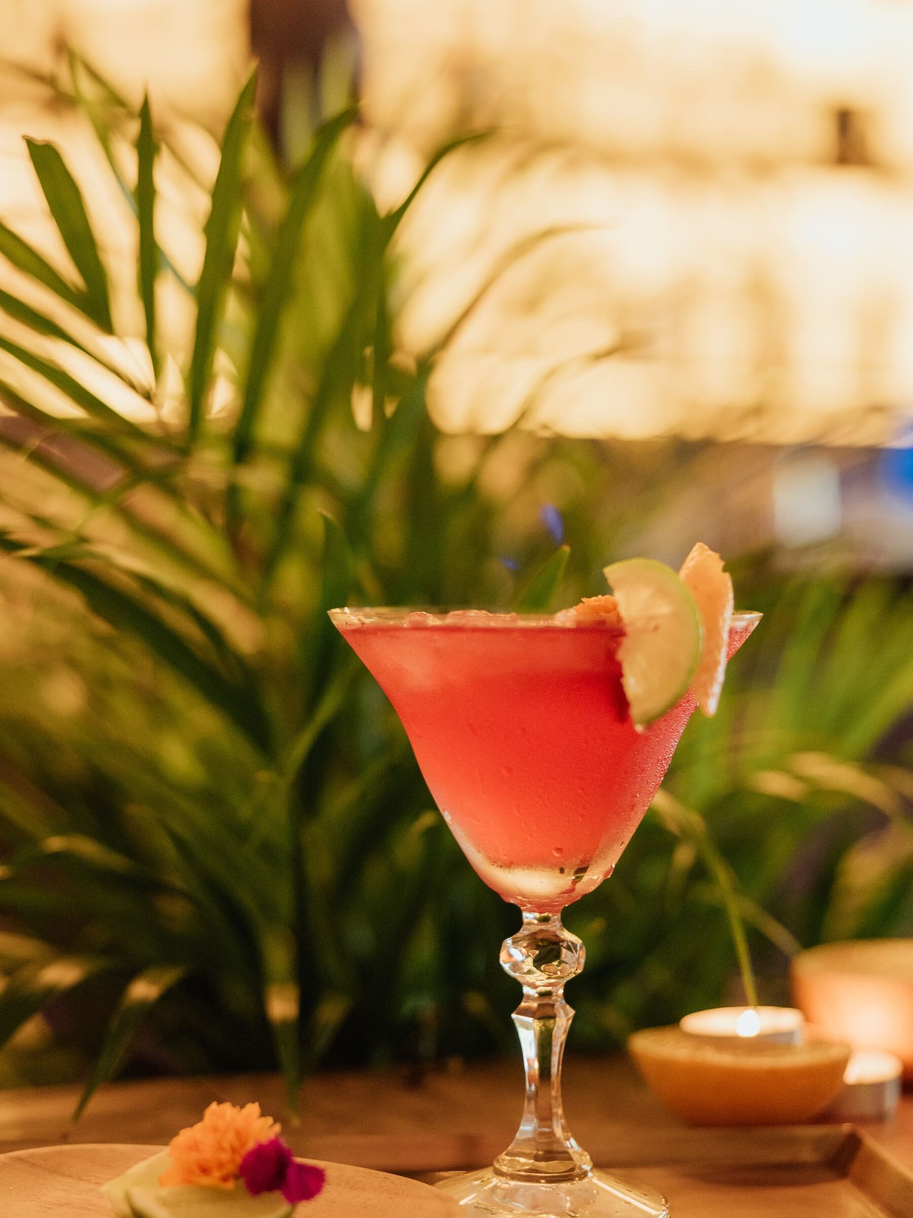 Select Green Hotels Solo Palacio bar