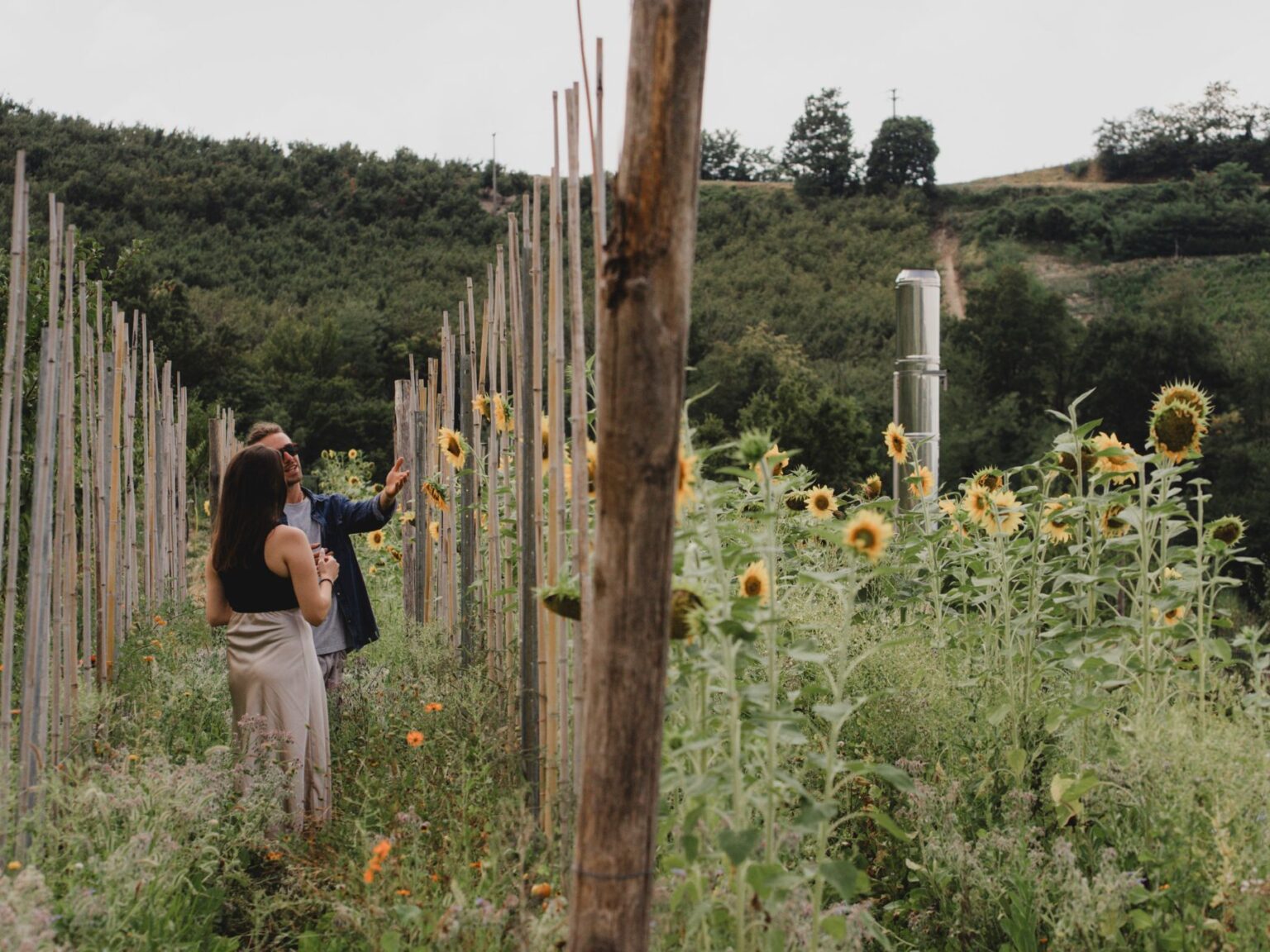 Select Green Hotels Casa di Langa