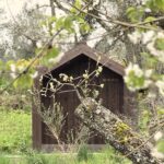 Select Green Hotels A Sociedade Rural