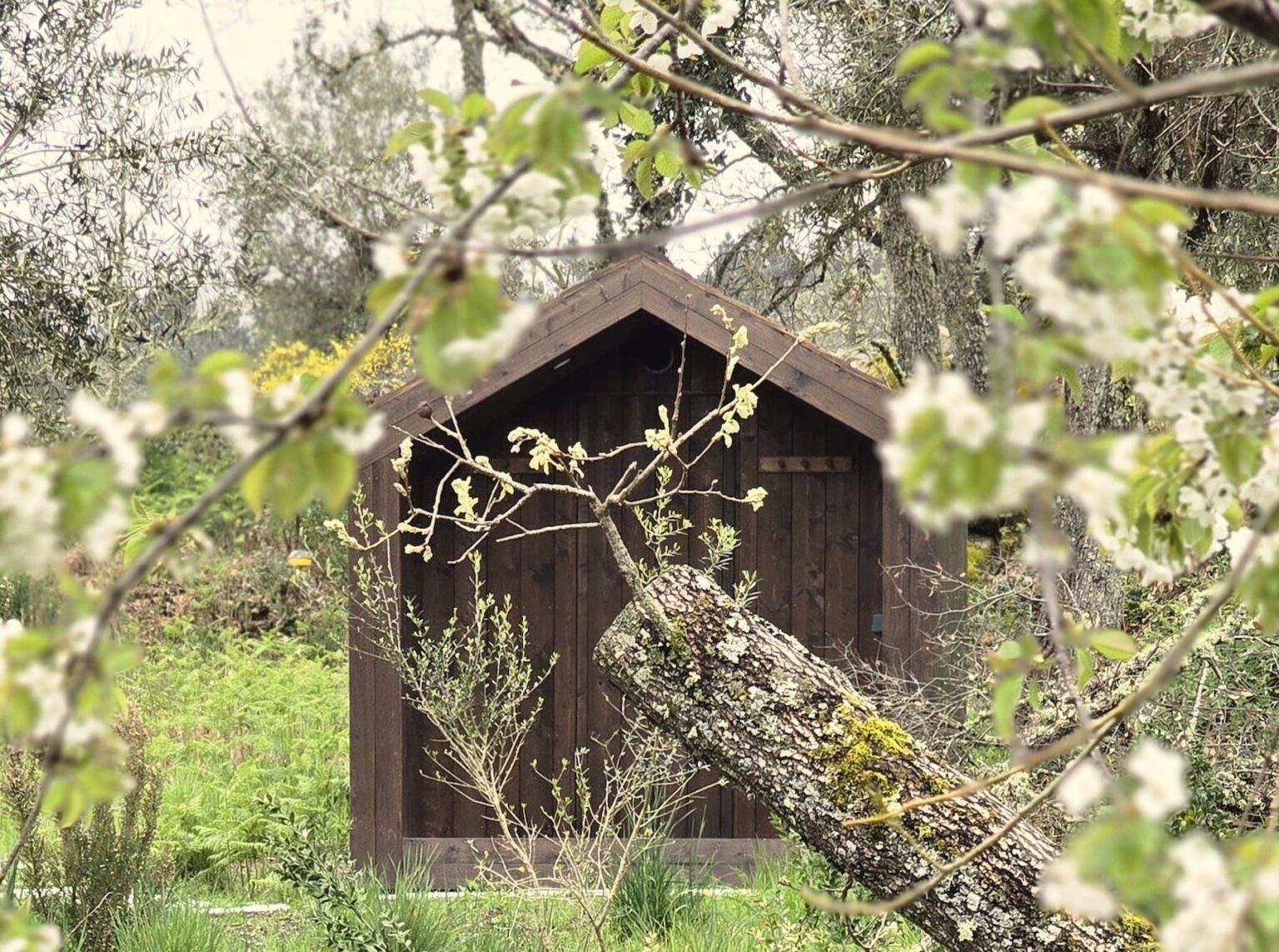 Select Green Hotels A Sociedade Rural