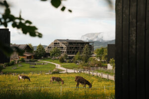 meadows with donkeys in front of Green Luxury hotel Pfösl