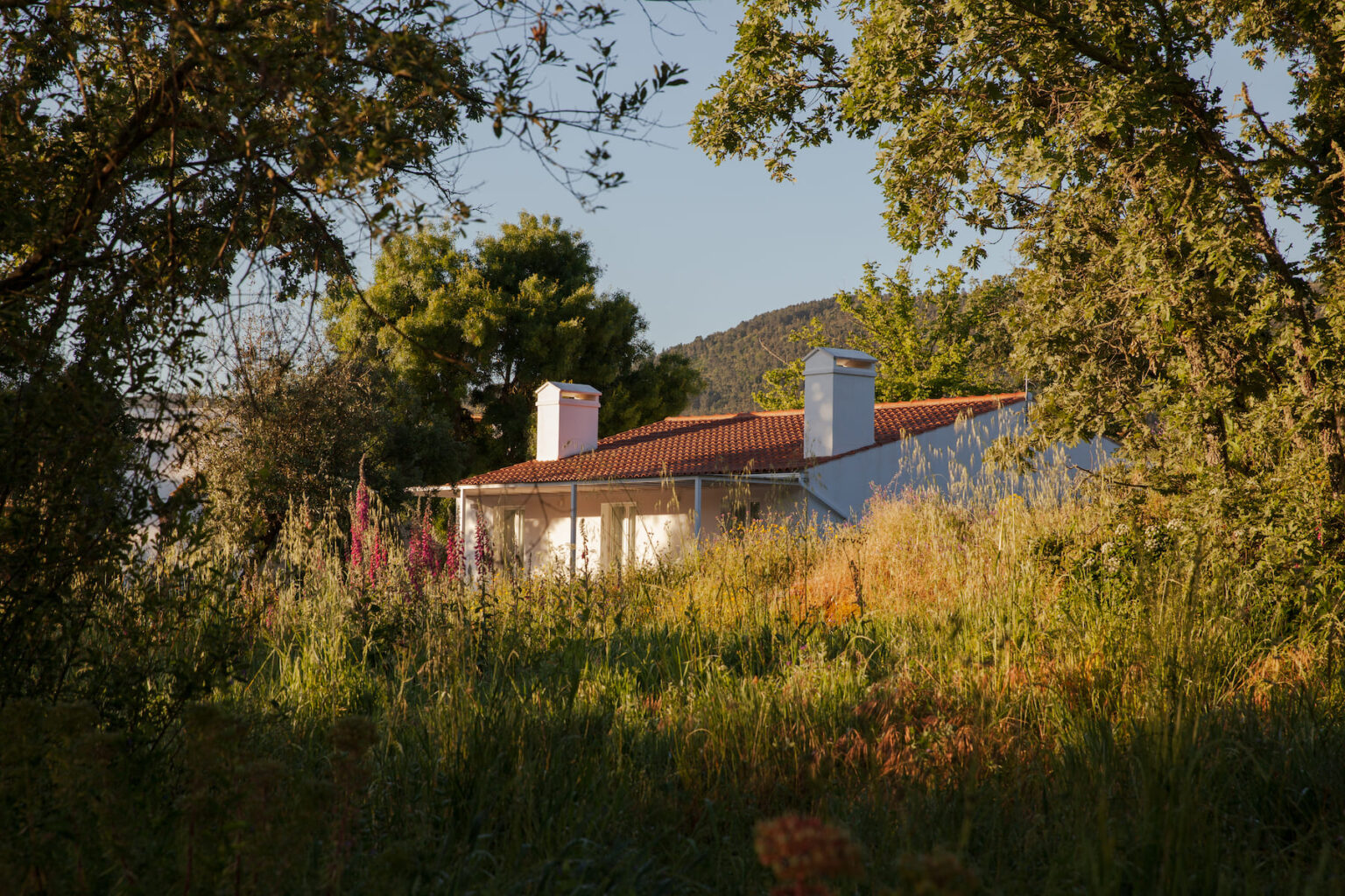 Select Green Hotels A Sociedade Rural