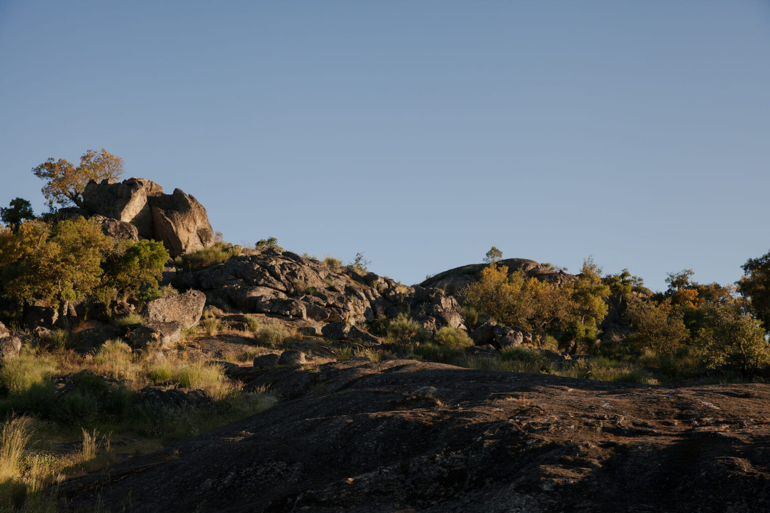 Select Green Hotels A Sociedade Rural