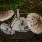 Select Green Hotels A Sociedade Rural