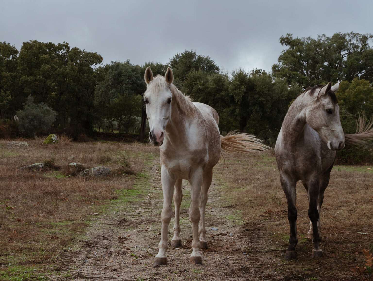 Select Green Hotels A Sociedade Rural