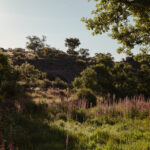 Select Green Hotels A Sociedade Rural