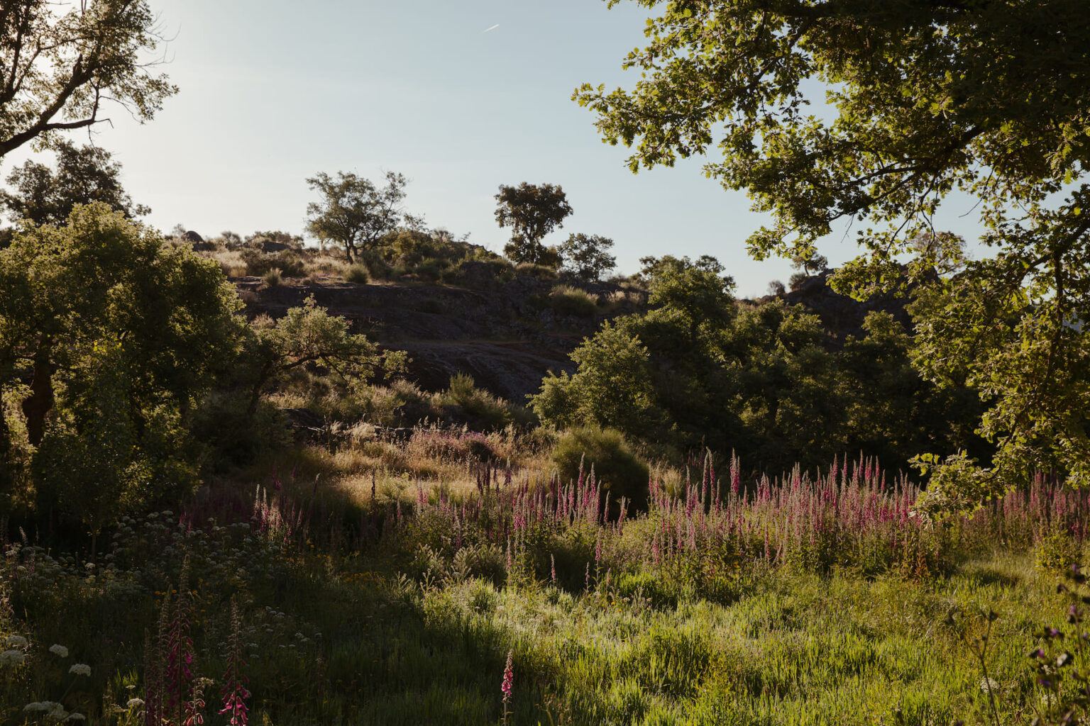 Select Green Hotels A Sociedade Rural