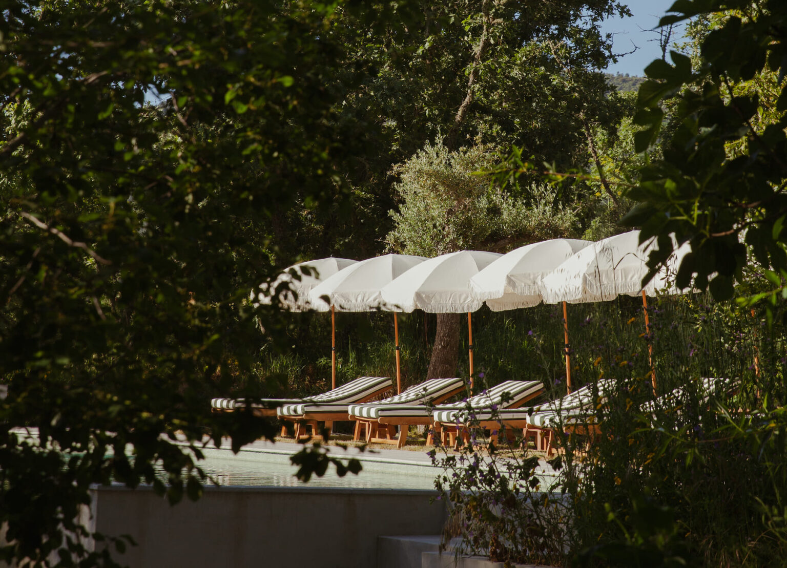 Select Green Hotels A Sociedade Rural