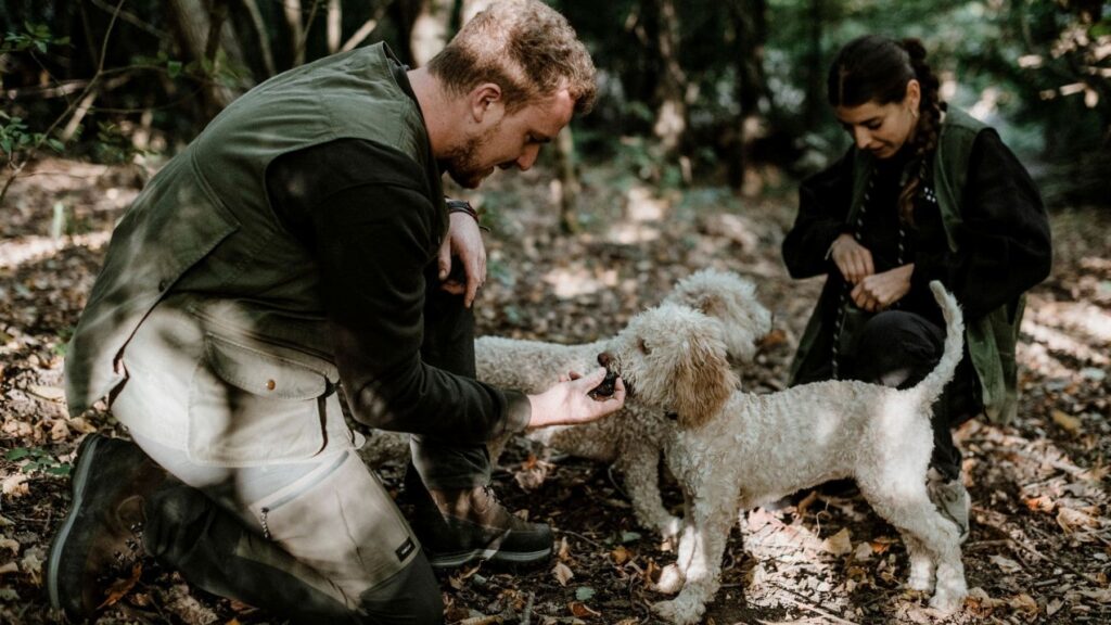Select Green Hotels truffle hunting Casa di Langa